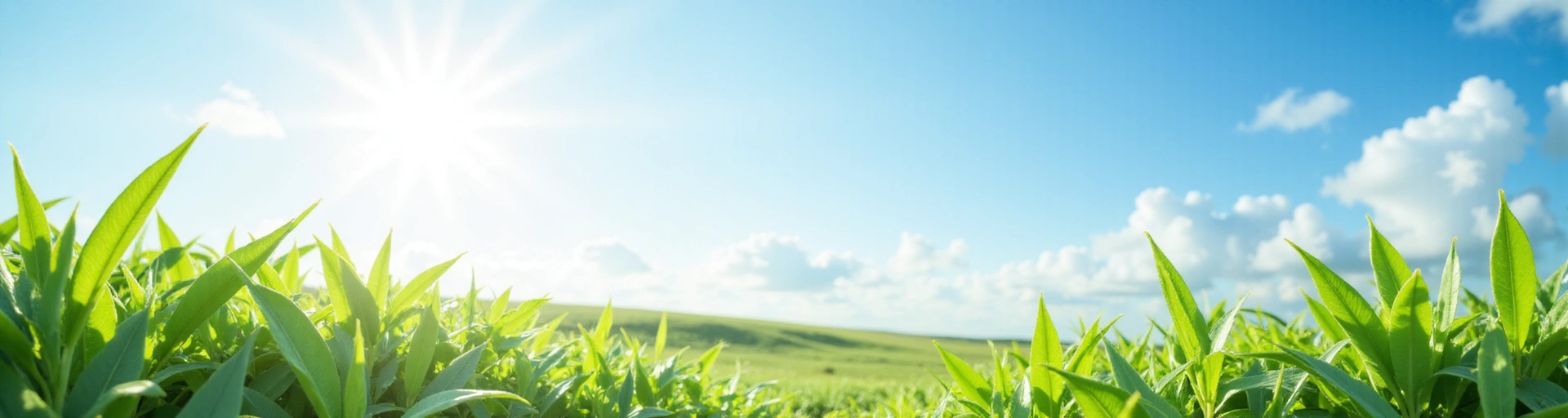 A serene landscape with vibrant green plants and clear blue sky, evoking health and well-being, symbolizing insights and articles.